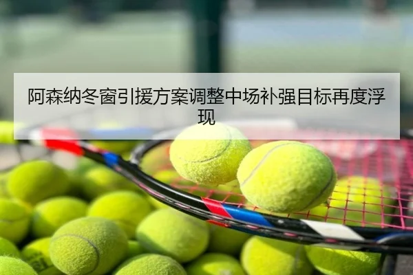 阿森纳冬窗引援方案调整中场补强目标再度浮现