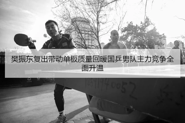 樊振东复出带动单板质量回暖国乒男队主力竞争全面升温